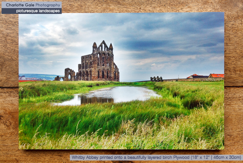 Whitby Abbey on Plywood