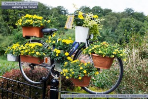 Yellow bike Knaresborough
