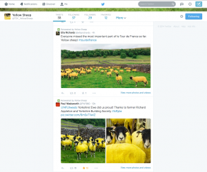 Yellow Sheep Twitter
