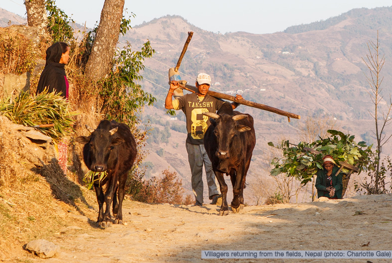 Subsistence Farming, Nepal
