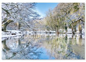 A Christmas card featuring a photo by Charlotte Gale of Nidd Gorge near Knaresborough in the snow