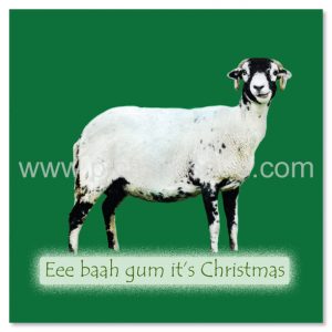 A Yorkshire Christmas Card featuring Sidney the Swaledale sheep