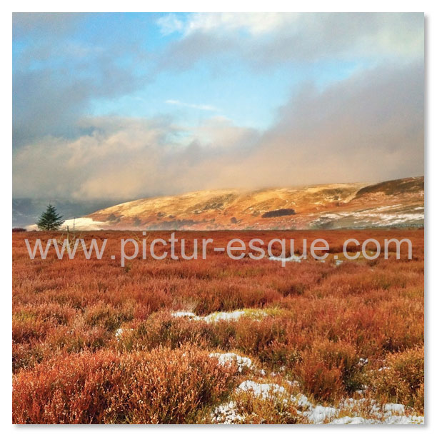 A photographic Christmas card featuring a photo of Cowesby Moor near Boltby Forest in the snow