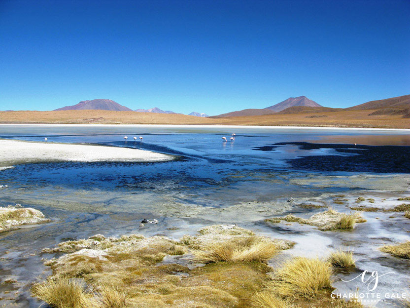 Charlotte-Gale-Bolivia-Salar-Desert-Laguna-Colorada