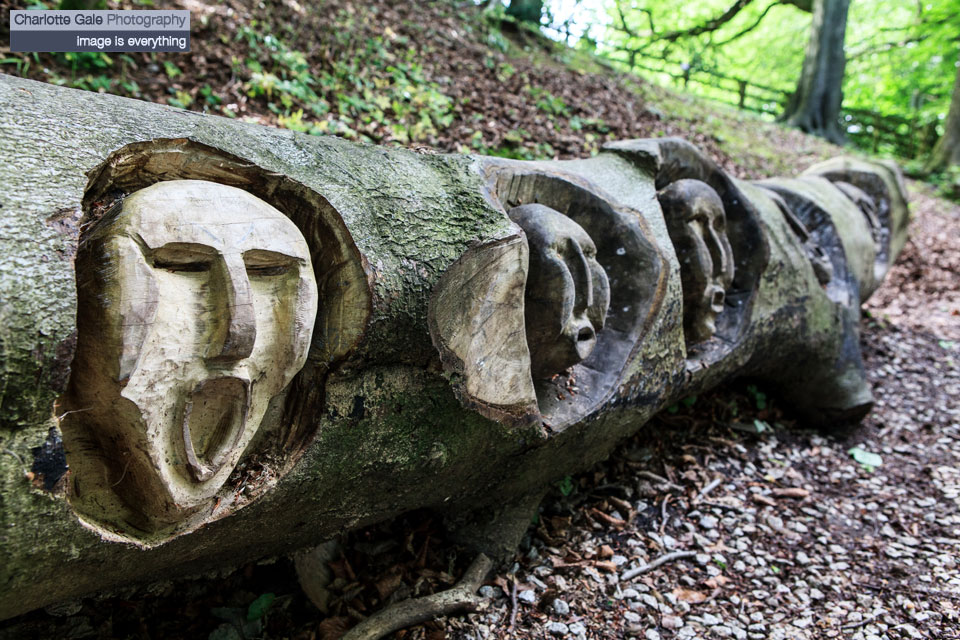 Mother Shipton's Cave and Petrifying Well