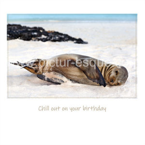 Sea Lion Birthday