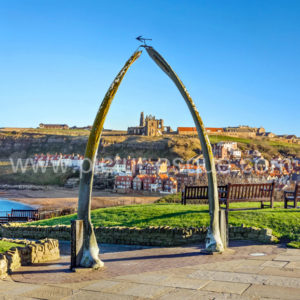 Whitby Whalebones