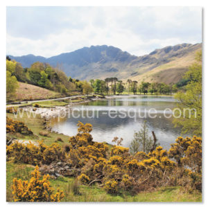 Buttermere