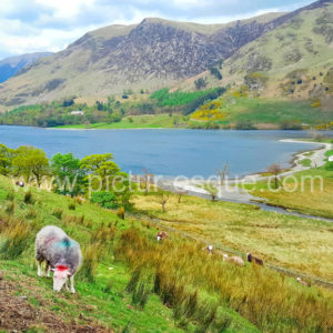 Haystacks