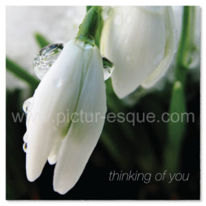 Snowdrop Winter Thinking of You card by Charlotte Gale