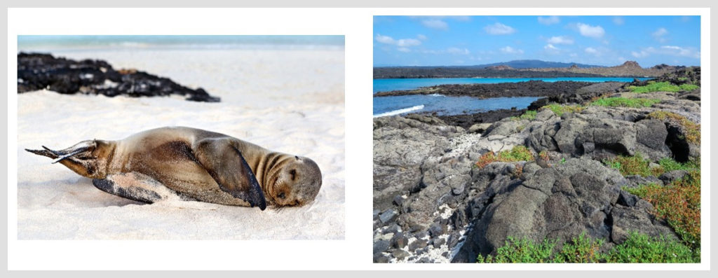 Galapagos Islands Layflat photobook