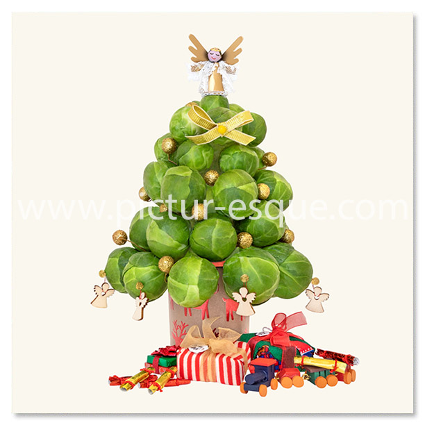 Sprout Christmas Tree by Charlotte Gale Photography