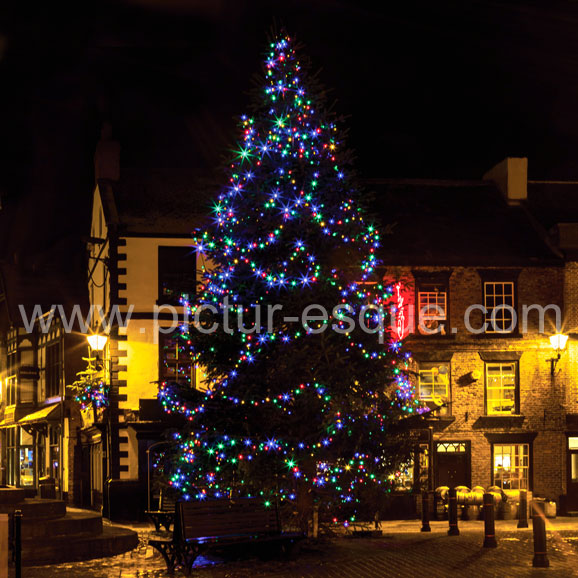 Knaresborough Market Place Christmas Tree Christmas card by Charlotte Gale Photography