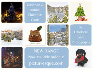 Yorkshire Christmas Cards by Charlotte Gale