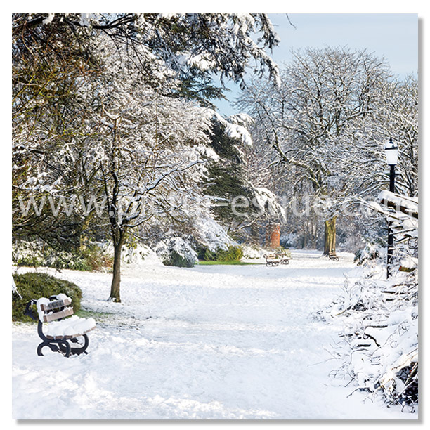 Valley Gardens Harrogate in the Snow Christmas Card