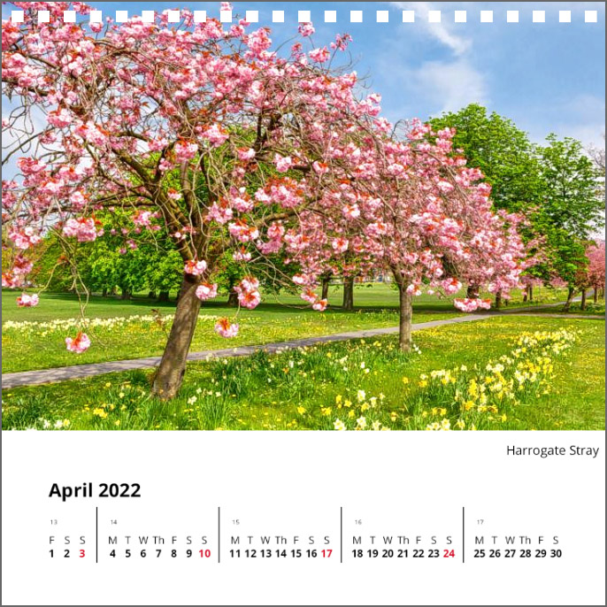 Yorkshire Desk Calendar 2022 by Charlotte Gale Photography Harrogate Stray Blossom