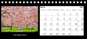 Yorkshire Desk Calendar 2023 March Harrogate Stray Blossom