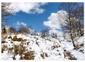 Nidderdale in the Snow Christmas Card