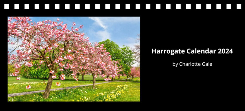 Harrogate 2024 Desk Calendar by Charlotte Gale Photography