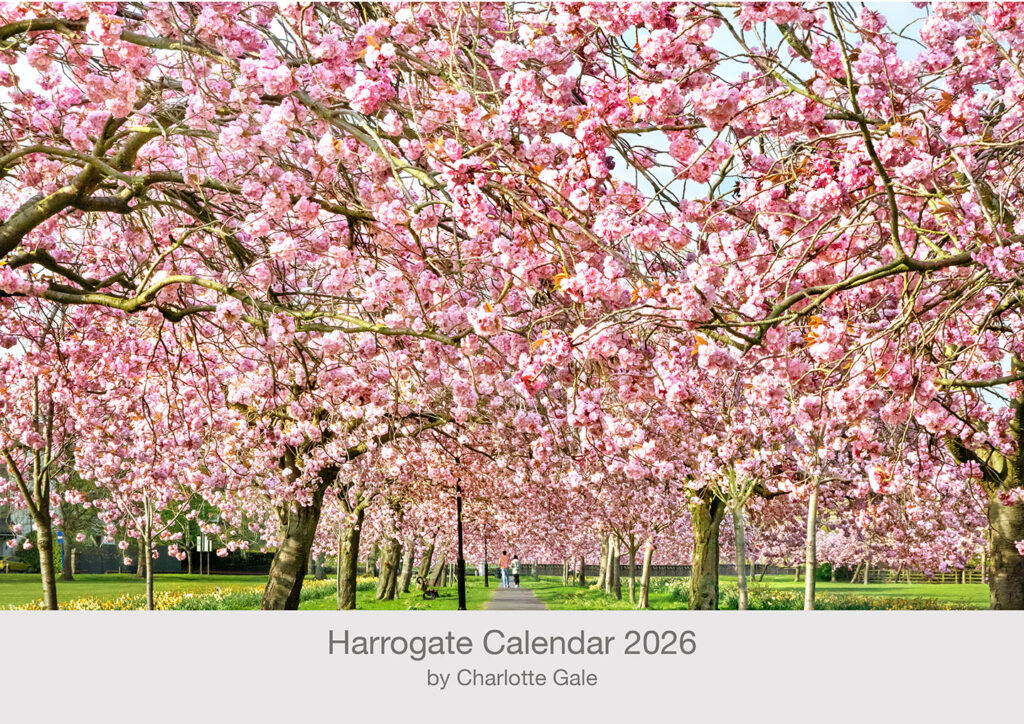 Harrogate 2026 Wall Calendar by Charlotte Gale