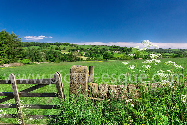 Summerbridge Nidderdale photo on canvas and Summerbridge Nidderdale framed photo