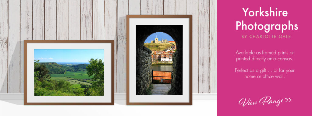 Framed Photos and Photos on Canvas by Charlotte Gale