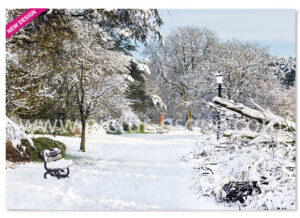 Valley Gardens in the Snow luxury Christmas card