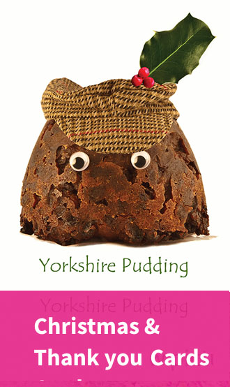 Christmas cards and festive thank you cards by Charlotte Gale